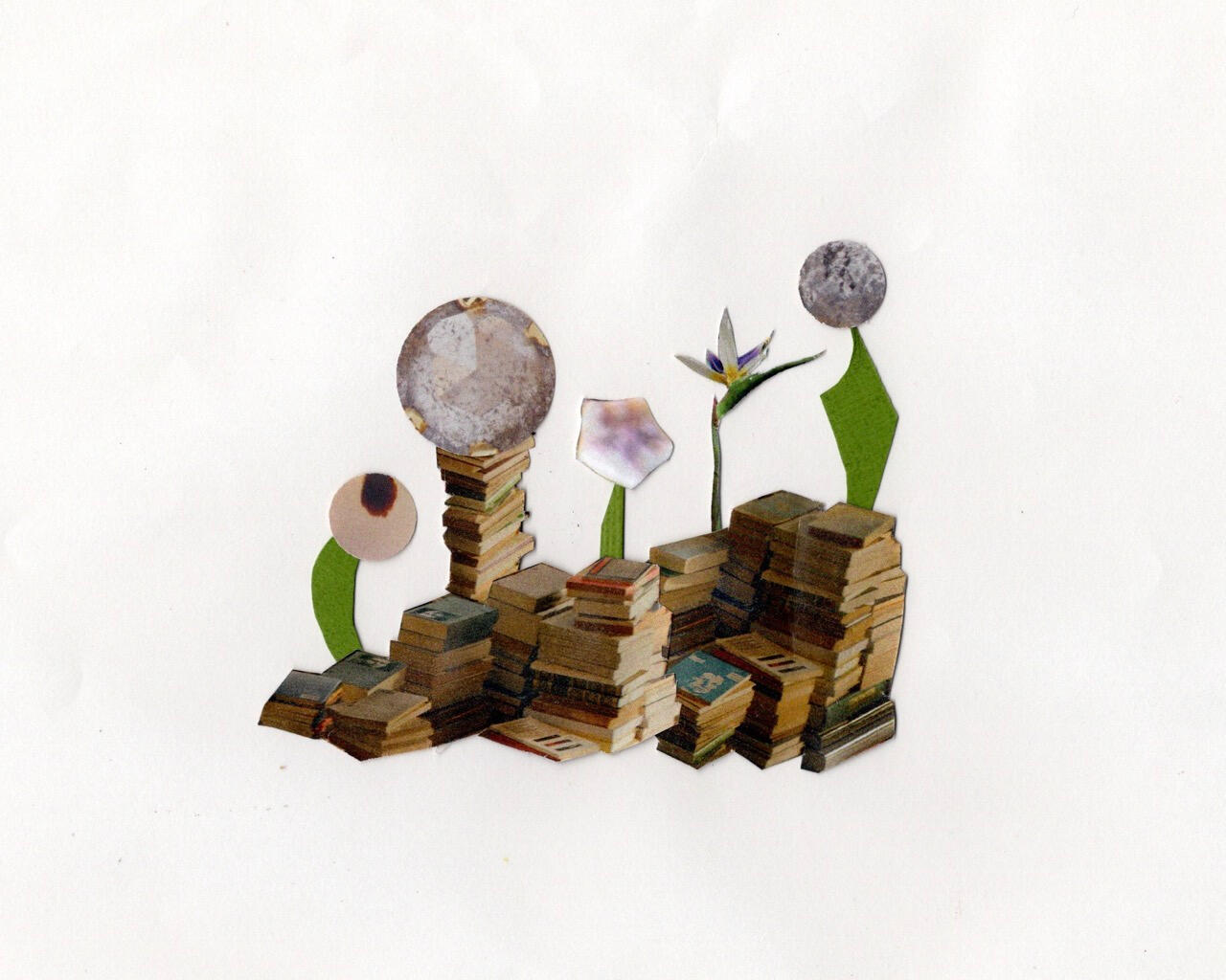 Flower + Book